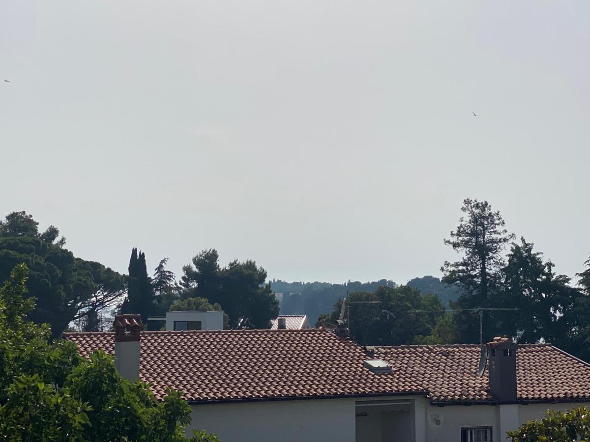 Apartament Kate