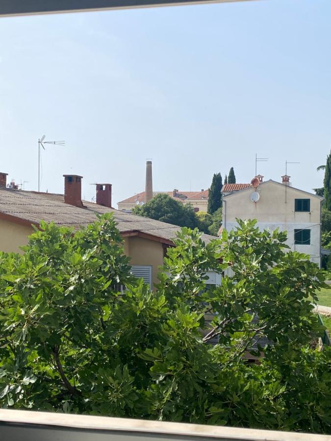 Kate Apartament *