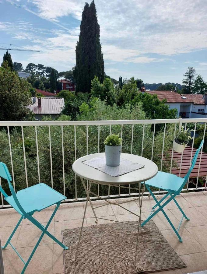 Kate Apartman *